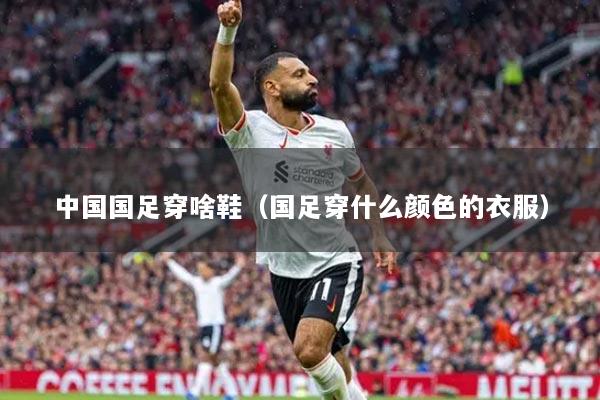 中國(guó)國(guó)足穿啥鞋（國(guó)足穿什么顏色的衣服）