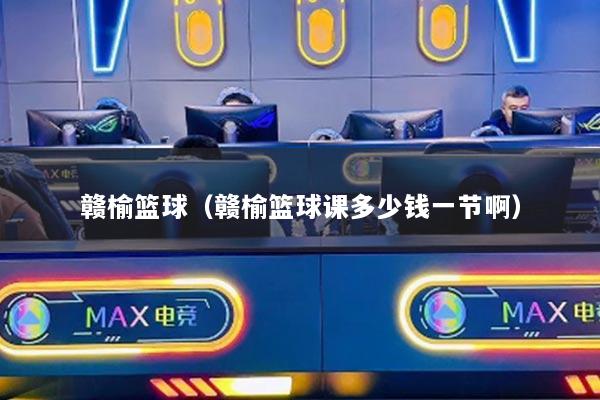 贛榆籃球（贛榆籃球課多少錢一節(jié)啊）