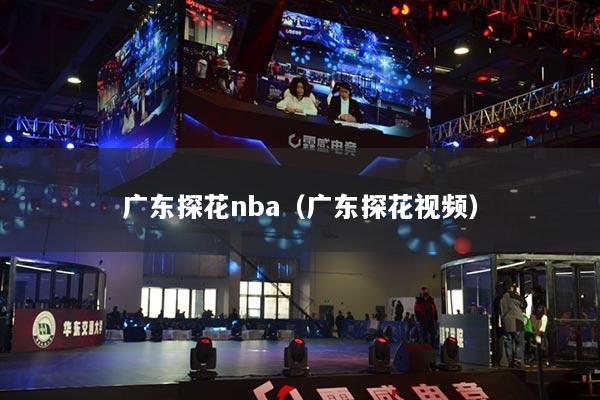 廣東探花nba（廣東探花視頻）