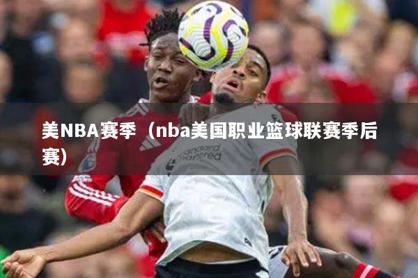 美NBA賽季（nba美國職業(yè)籃球聯(lián)賽季后賽）
