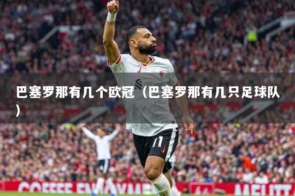 巴塞羅那有幾個(gè)歐冠（巴塞羅那有幾只足球隊(duì)）