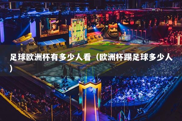 足球歐洲杯有多少人看（歐洲杯踢足球多少人）