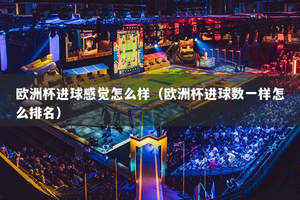 歐洲杯進(jìn)球感覺怎么樣（歐洲杯進(jìn)球數(shù)一樣怎么排名）