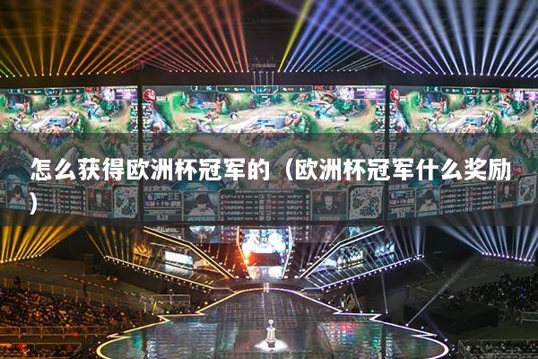 怎么獲得歐洲杯冠軍的（歐洲杯冠軍什么獎(jiǎng)勵(lì)）