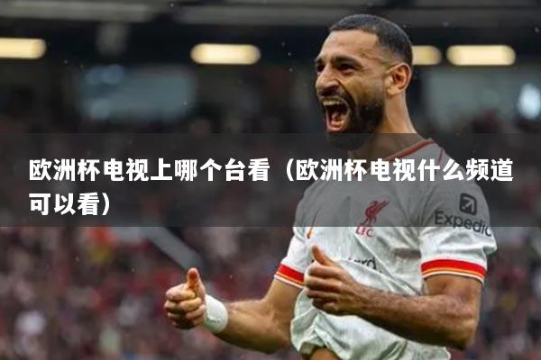 歐洲杯電視上哪個臺看（歐洲杯電視什么頻道可以看）