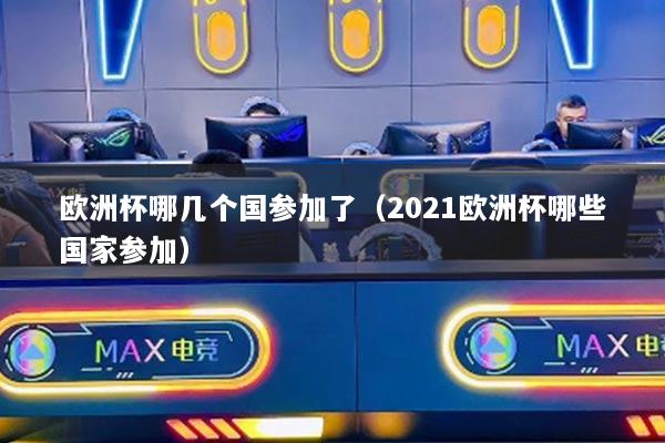 歐洲杯哪幾個(gè)國參加了（2021歐洲杯哪些國家參加）