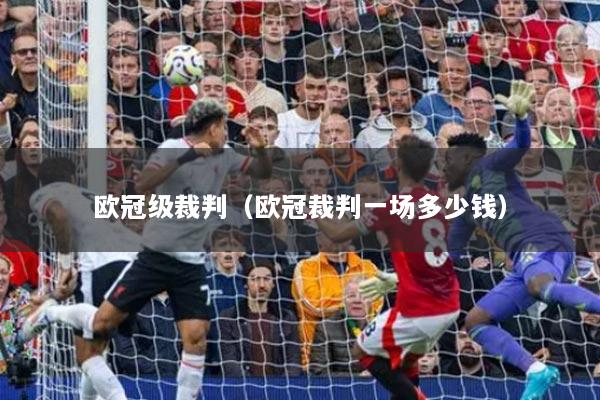 歐冠級(jí)裁判（歐冠裁判一場(chǎng)多少錢）