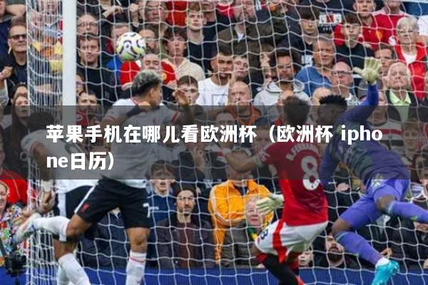 蘋果手機(jī)在哪兒看歐洲杯（歐洲杯 iphone日歷）
