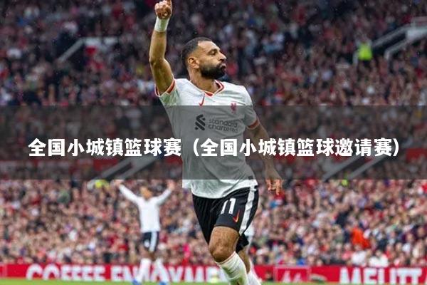 全國(guó)小城鎮(zhèn)籃球賽（全國(guó)小城鎮(zhèn)籃球邀請(qǐng)賽）
