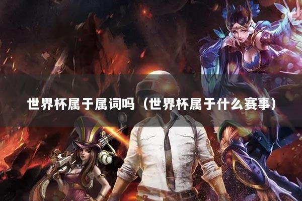 世界杯屬于屬詞嗎（世界杯屬于什么賽事）