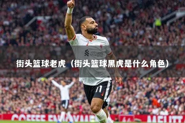 街頭籃球老虎（街頭籃球黑虎是什么角色）