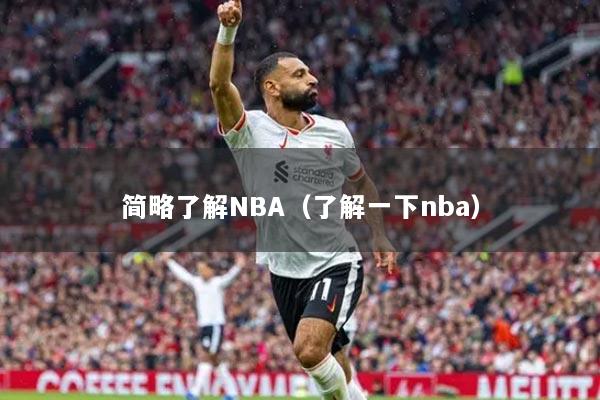 簡(jiǎn)略了解NBA（了解一下nba）