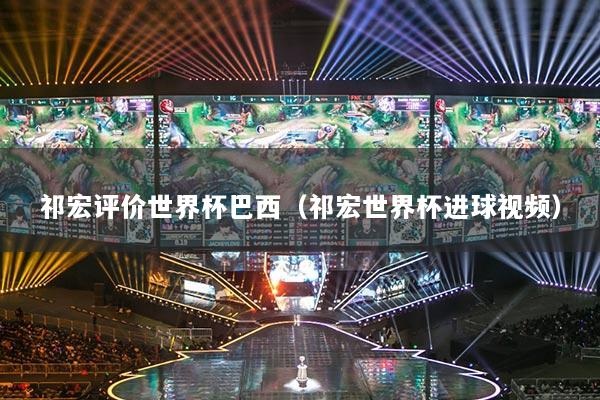 祁宏評價世界杯巴西（祁宏世界杯進球視頻）