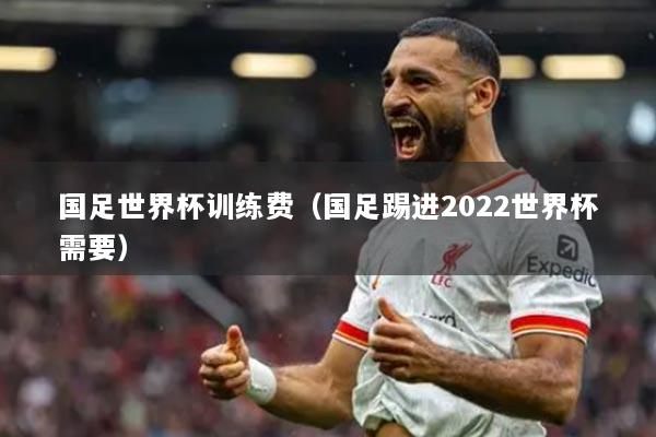 國足世界杯訓(xùn)練費(fèi)（國足踢進(jìn)2022世界杯需要）