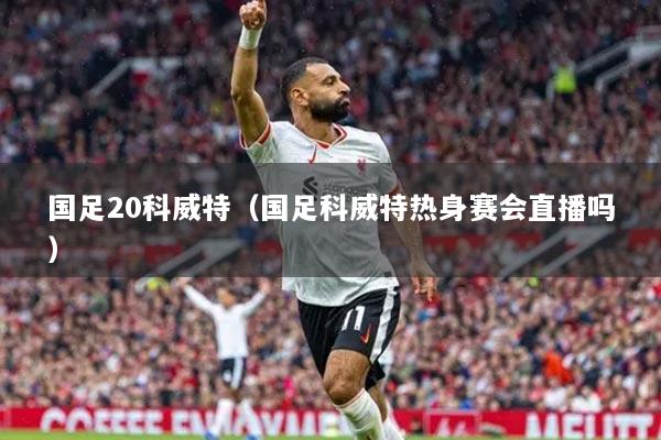 國(guó)足20科威特（國(guó)足科威特?zé)嵘碣悤?huì)直播嗎）