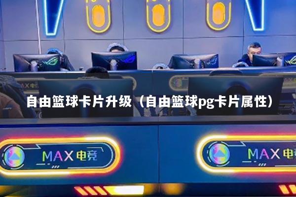 自由籃球卡片升級(jí)（自由籃球pg卡片屬性）