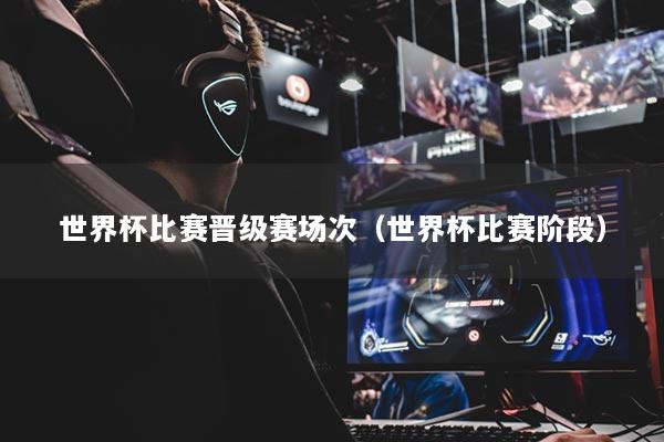 世界杯比賽晉級賽場次（世界杯比賽階段）