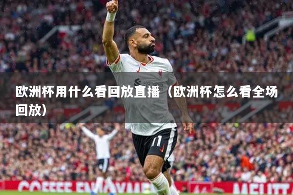 歐洲杯用什么看回放直播（歐洲杯怎么看全場回放）