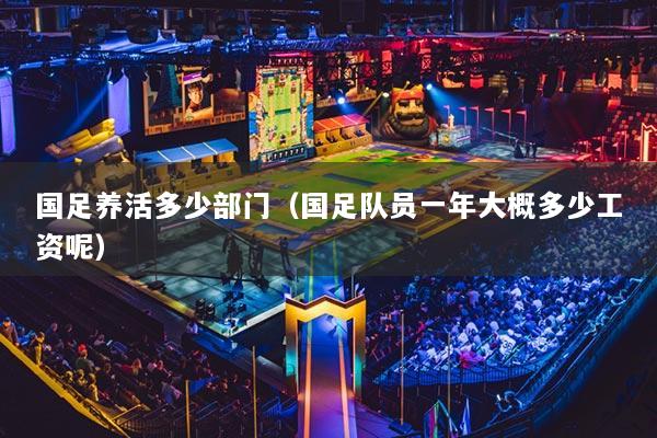 國足養(yǎng)活多少部門（國足隊員一年大概多少工資呢）