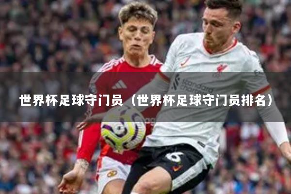 世界杯足球守門員（世界杯足球守門員排名）