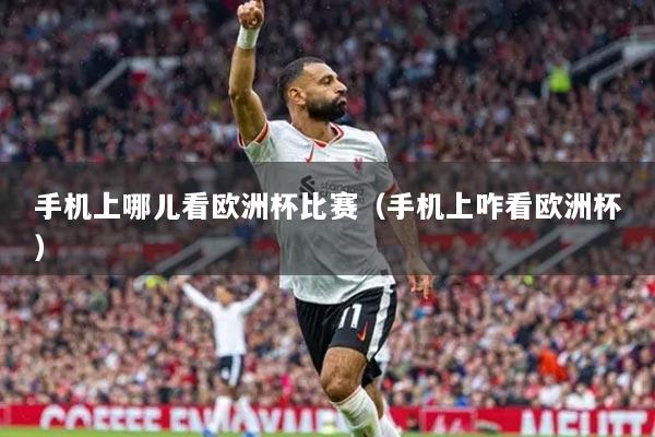 手機上哪兒看歐洲杯比賽（手機上咋看歐洲杯）