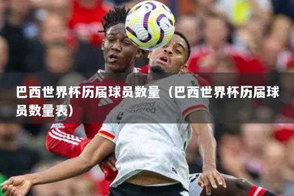 巴西世界杯歷屆球員數(shù)量（巴西世界杯歷屆球員數(shù)量表）