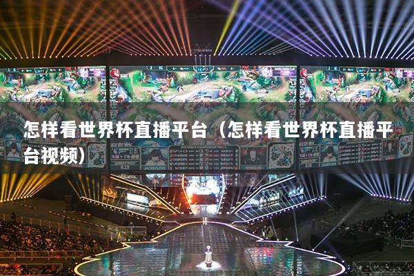 怎樣看世界杯直播平臺(tái)（怎樣看世界杯直播平臺(tái)視頻）