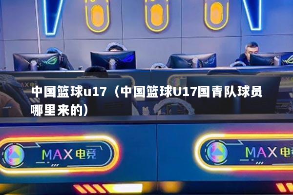 中國籃球u17（中國籃球U17國青隊(duì)球員哪里來的）