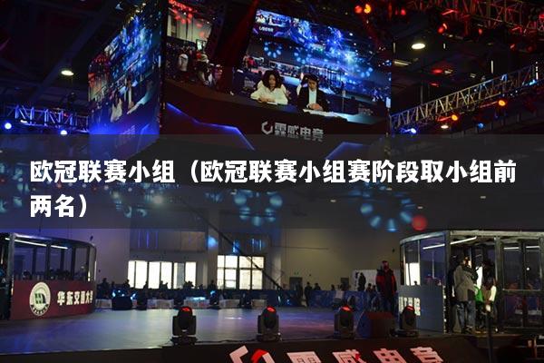 歐冠聯(lián)賽小組（歐冠聯(lián)賽小組賽階段取小組前兩名）