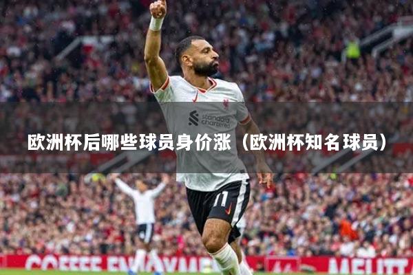 歐洲杯后哪些球員身價漲（歐洲杯知名球員）