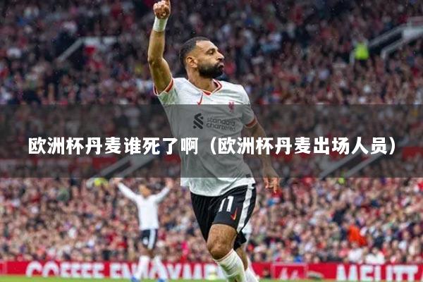 歐洲杯丹麥誰(shuí)死了?。W洲杯丹麥出場(chǎng)人員）