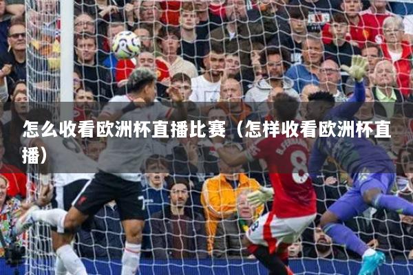 怎么收看歐洲杯直播比賽（怎樣收看歐洲杯直播）