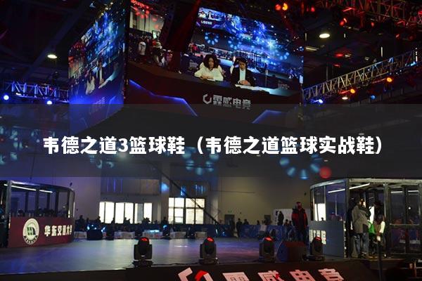 韋德之道3籃球鞋（韋德之道籃球?qū)崙?zhàn)鞋）