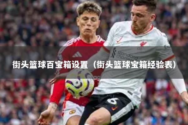 街頭籃球百寶箱設(shè)置（街頭籃球?qū)毾浣?jīng)驗(yàn)表）