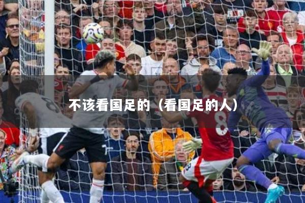 不該看國足的（看國足的人）