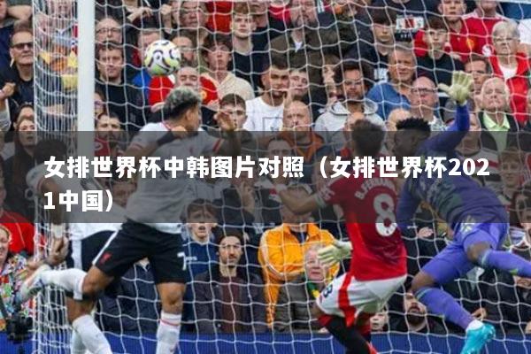 女排世界杯中韓圖片對照（女排世界杯2021中國）