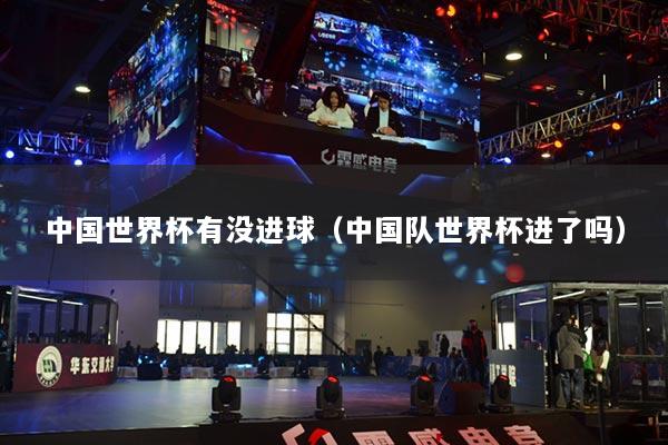 中國世界杯有沒進球（中國隊世界杯進了嗎）