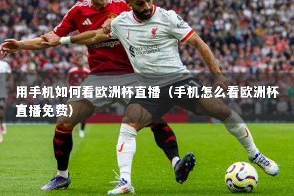 用手機如何看歐洲杯直播（手機怎么看歐洲杯直播免費）
