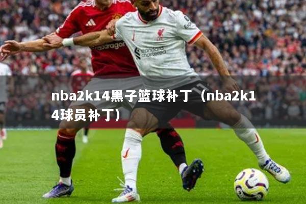 nba2k14黑子籃球補(bǔ)?。╪ba2k14球員補(bǔ)丁）