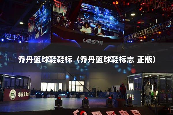 喬丹籃球鞋鞋標(biāo)（喬丹籃球鞋標(biāo)志 正版）