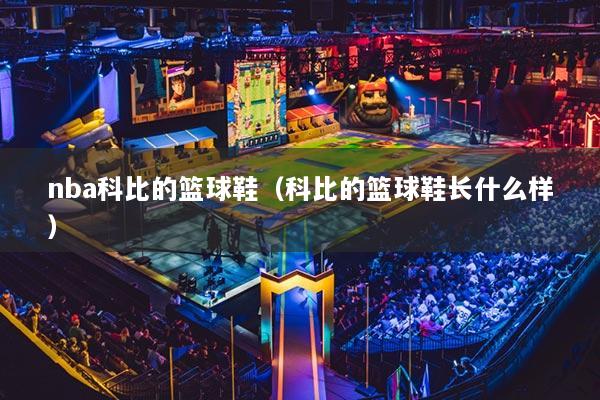 nba科比的籃球鞋（科比的籃球鞋長(zhǎng)什么樣）