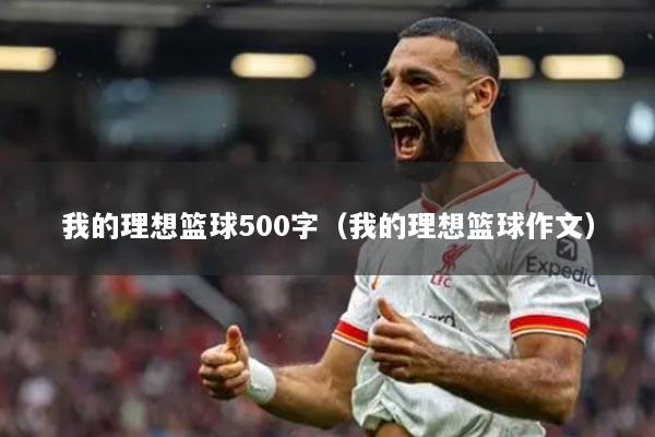 我的理想籃球500字（我的理想籃球作文）