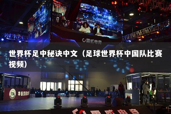 世界杯足中秘訣中文（足球世界杯中國隊(duì)比賽視頻）