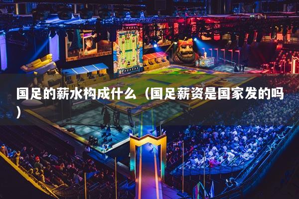 國足的薪水構(gòu)成什么（國足薪資是國家發(fā)的嗎）