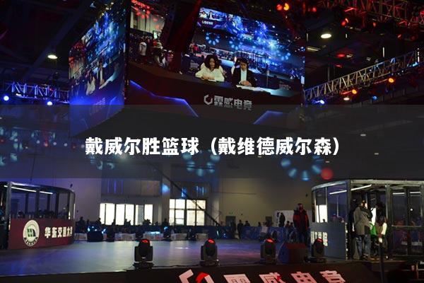 戴威爾勝籃球（戴維德威爾森）