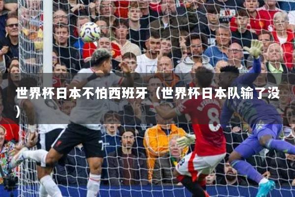 世界杯日本不怕西班牙（世界杯日本隊輸了沒）