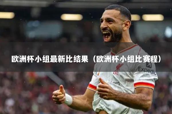 歐洲杯小組最新比結(jié)果（歐洲杯小組比賽程）