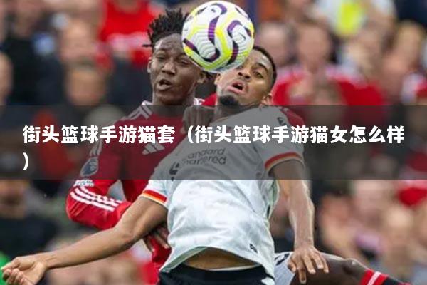 街頭籃球手游貓?zhí)祝ń诸^籃球手游貓女怎么樣）