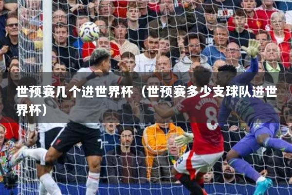 世預(yù)賽幾個(gè)進(jìn)世界杯（世預(yù)賽多少支球隊(duì)進(jìn)世界杯）