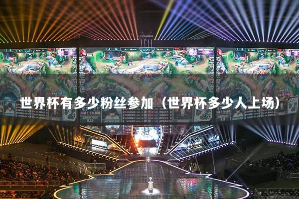 世界杯有多少粉絲參加（世界杯多少人上場）